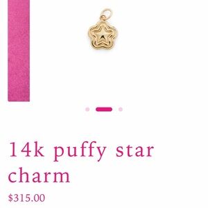 14k Gold Star Charm